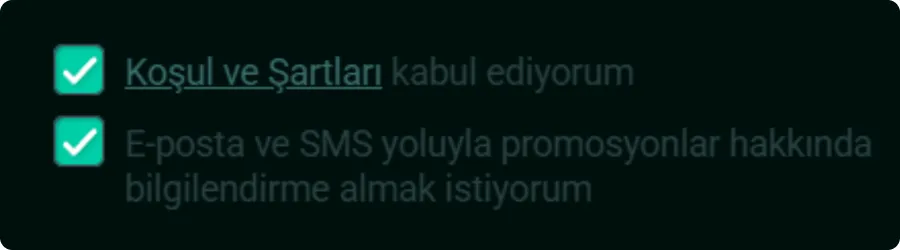Giriş Pinco